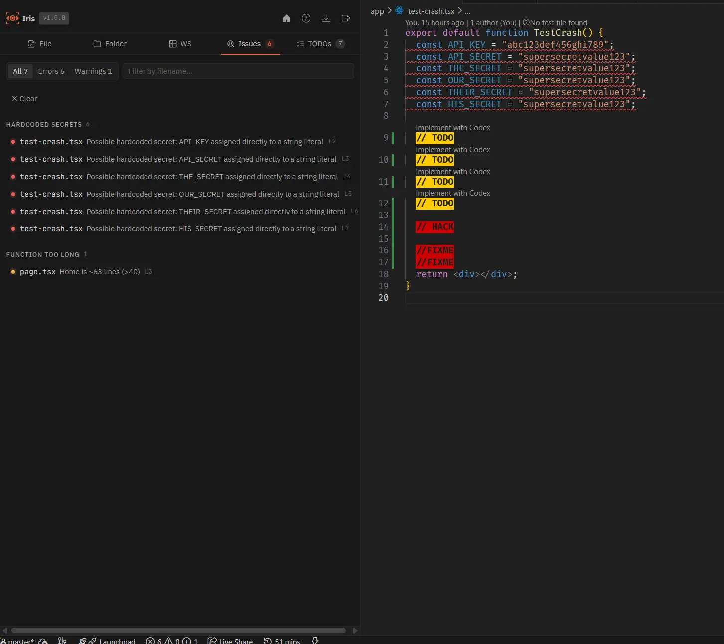 Iris Issues tab showing hardcoded secrets grouped by category with file and line references