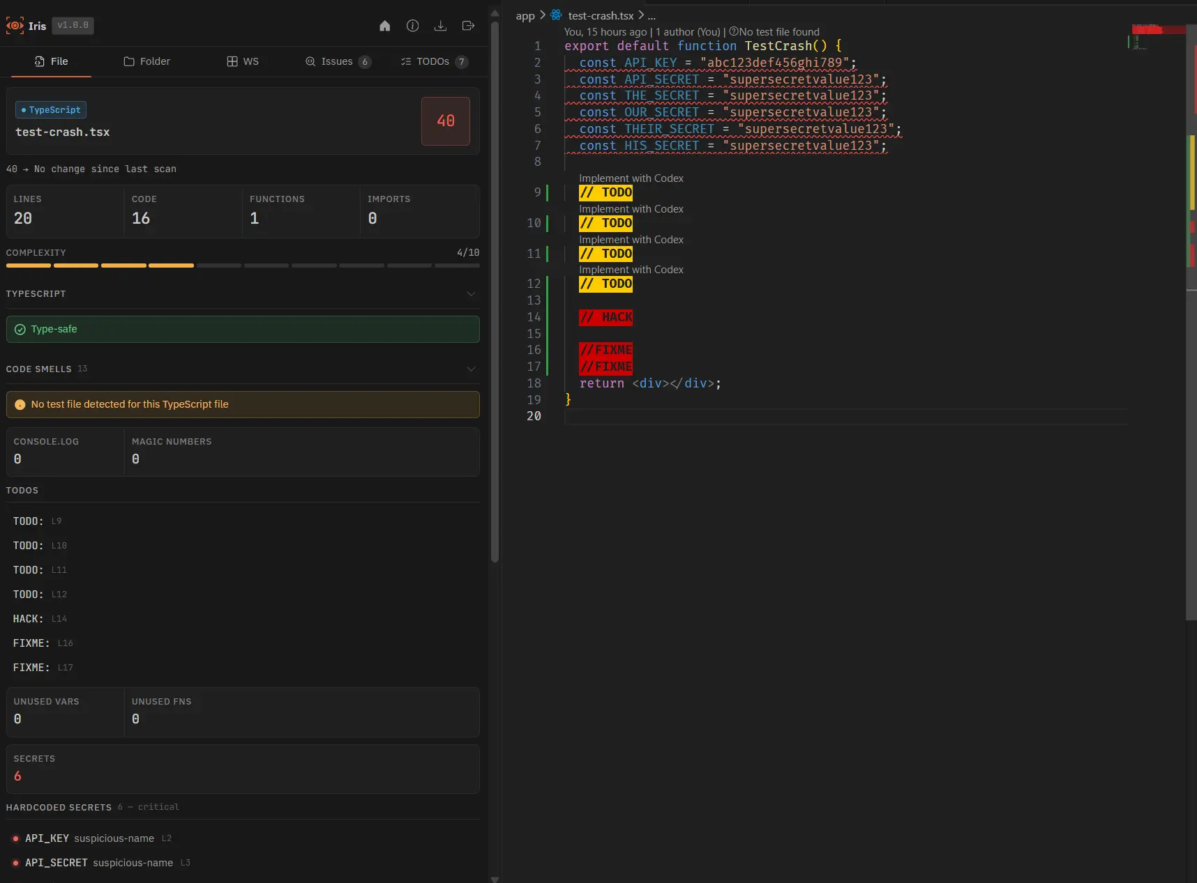Iris File tab showing health score, code smells, TODOs, secrets count, and hardcoded credential list